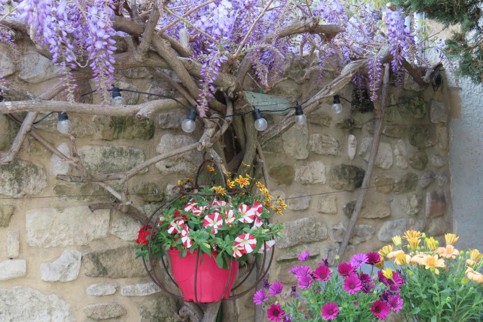 La Maison Wisteria Saint-Pantaléon-les-Vignes Eksteriør billede
